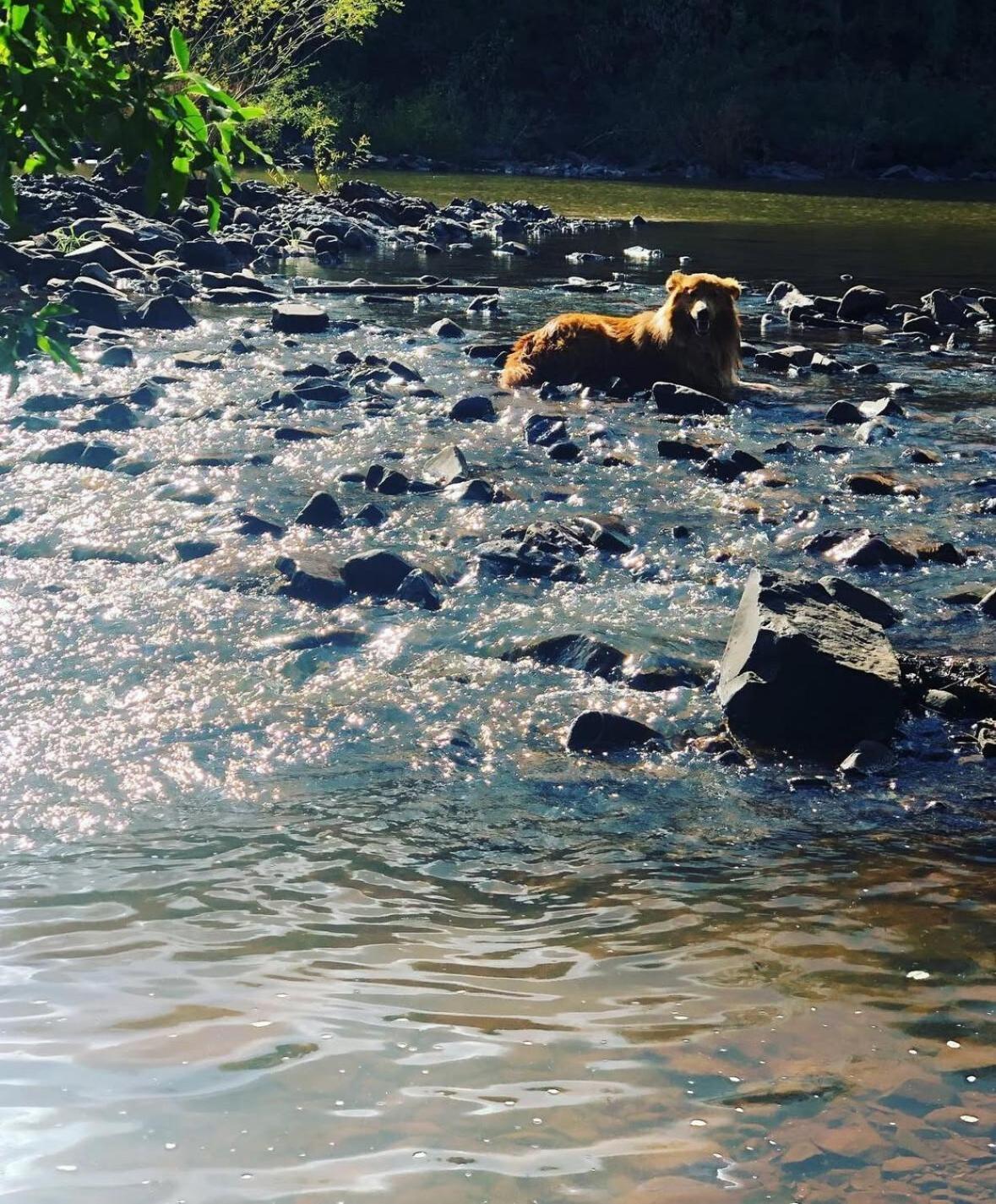 Sitio Das Pedras Ijuí Dış mekan fotoğraf
